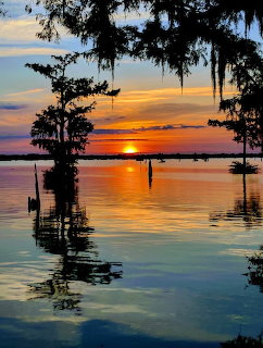 Sunset over bayou with cypress trees and Spanish moss silhouettes reflected in calm water with orange and purple sky