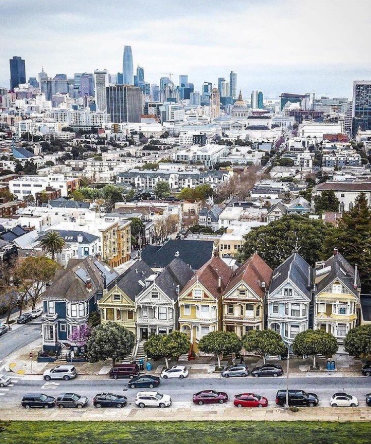 San Francisco Painted Ladies