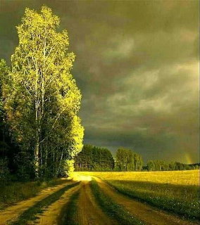 Stormy Country Road Landscape