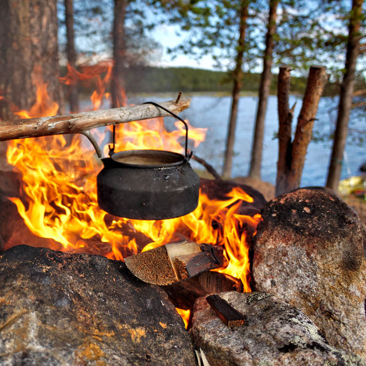 Campfire cooking