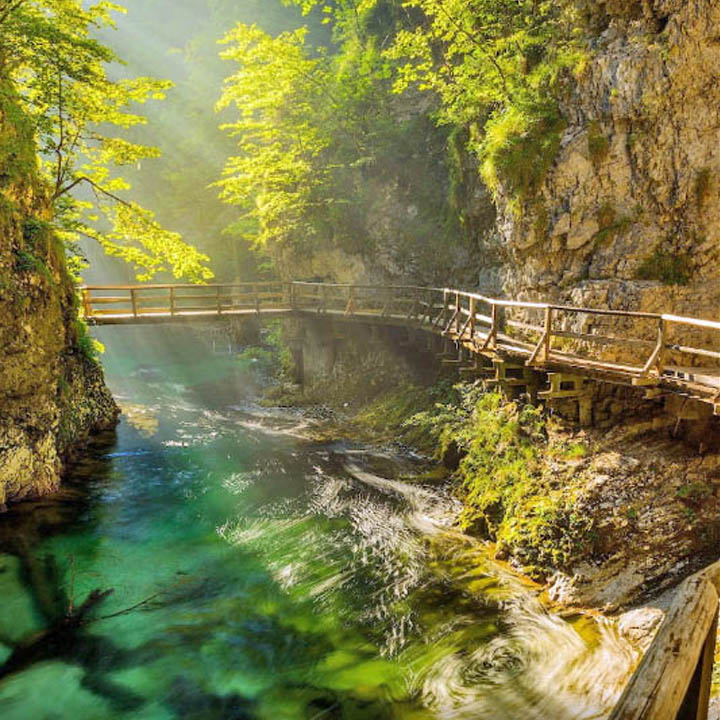 Wooden Bridge Over Gorge