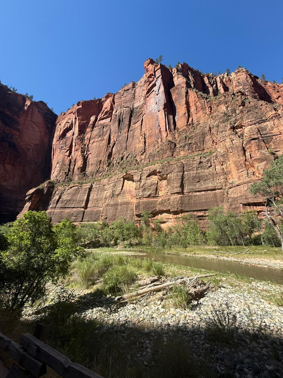 Zion Canyon Red Cliffs