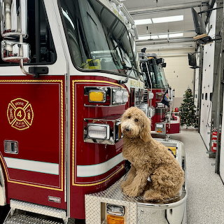 FD's Mascot in Hickville NY