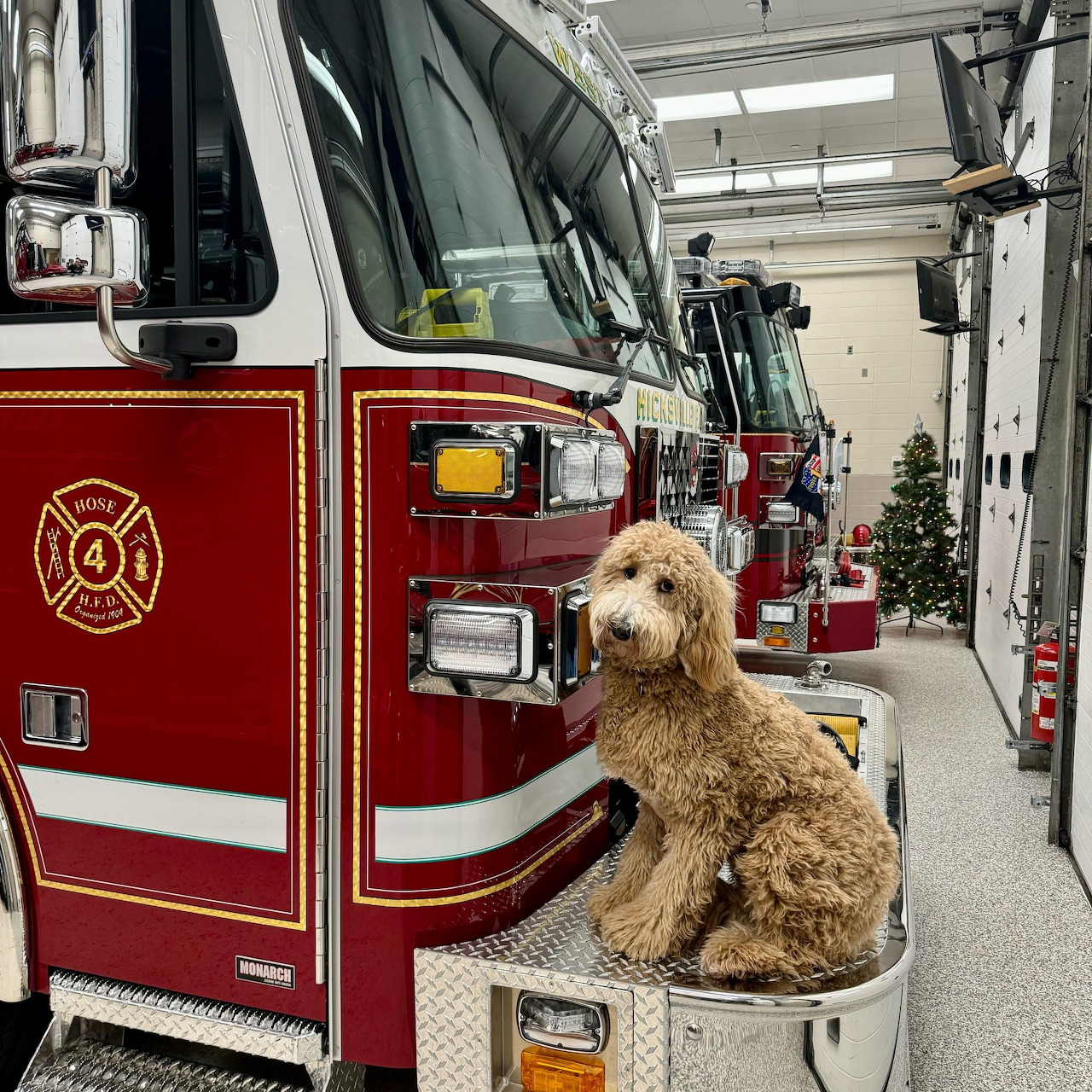 Fire Dog on Truck