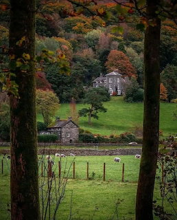 Two stone cottages in a green clearing framed by tall trees and autumn forest