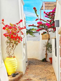 Bright courtyard with white walls, colorful flowers in yellow vase, pink bougainvillea, ocean view through archway