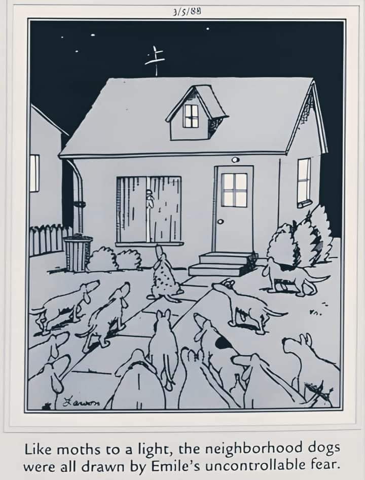 Far Side Dog Cartoon