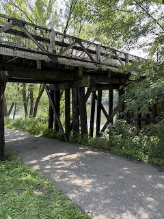 Wooden footbridge spanning over a paved forest trail surrounded by green foliage