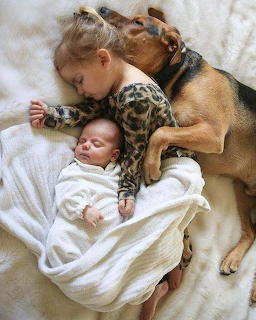 Young girl cuddling a sleeping baby and a brown dog on a white blanket