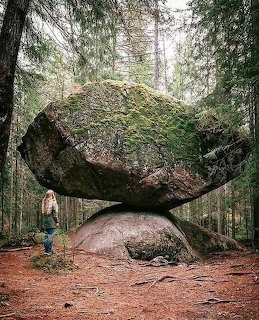 Large balancing boulder covered in moss resting on a smaller rock in a pine forest with a person nearby