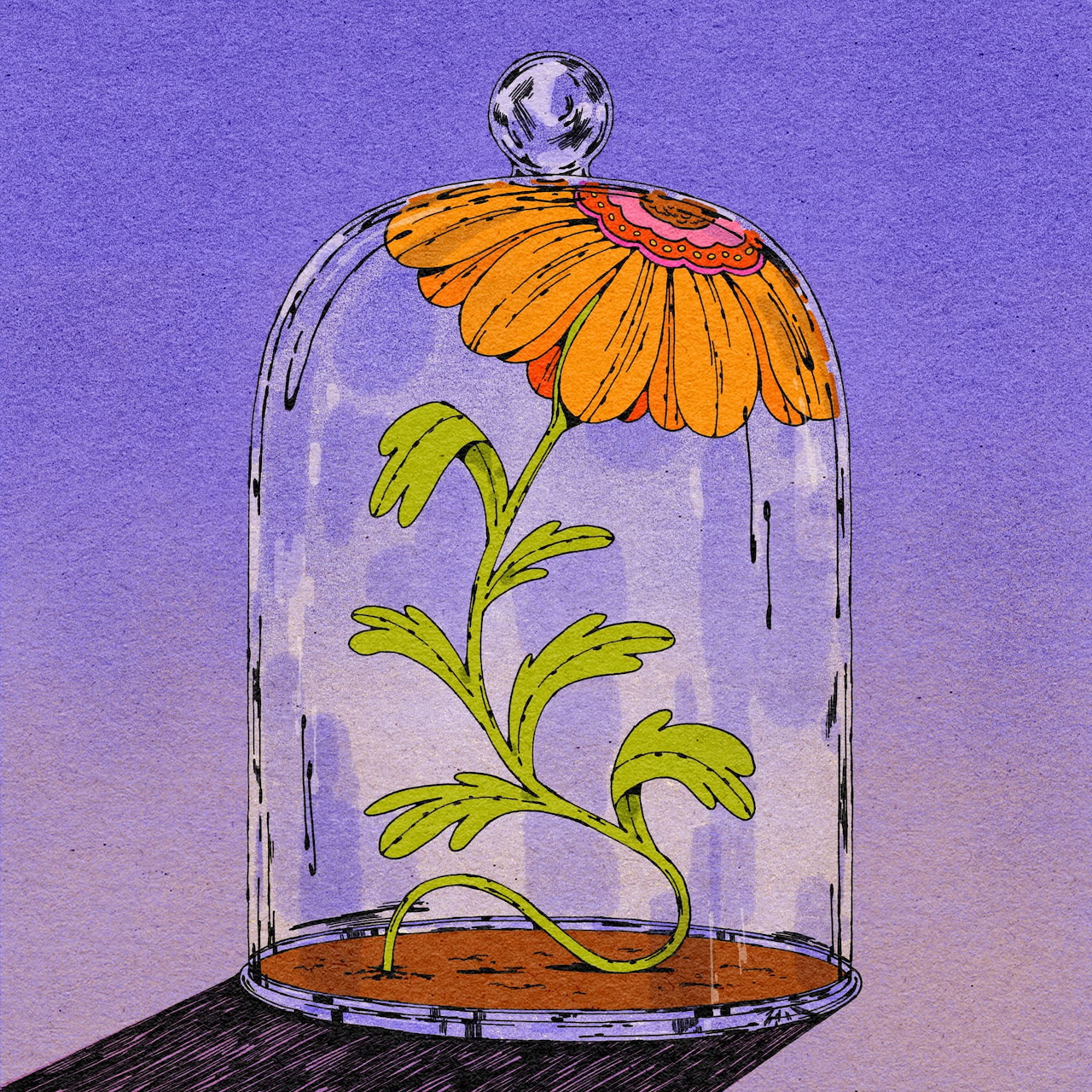 Orange Flower Under Glass