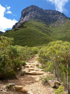 Rocky hiking trail leading through green scrubland toward the peak of Bluff Knoll mountain