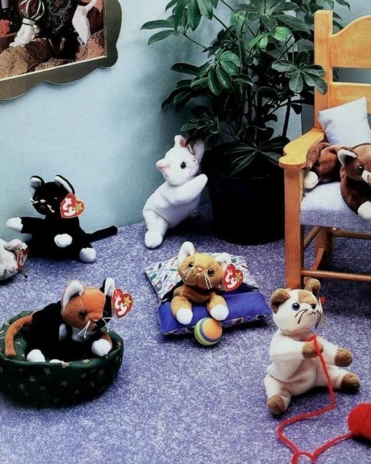 Multiple Ty Beanie Babies plush toys arranged on a blue carpet with a wooden chair and plant
