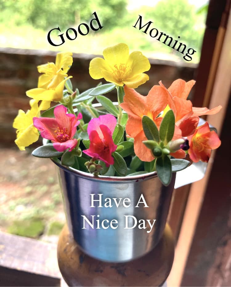 Metal mug with yellow, orange, and pink flowers and Good Morning Have A Nice Day text