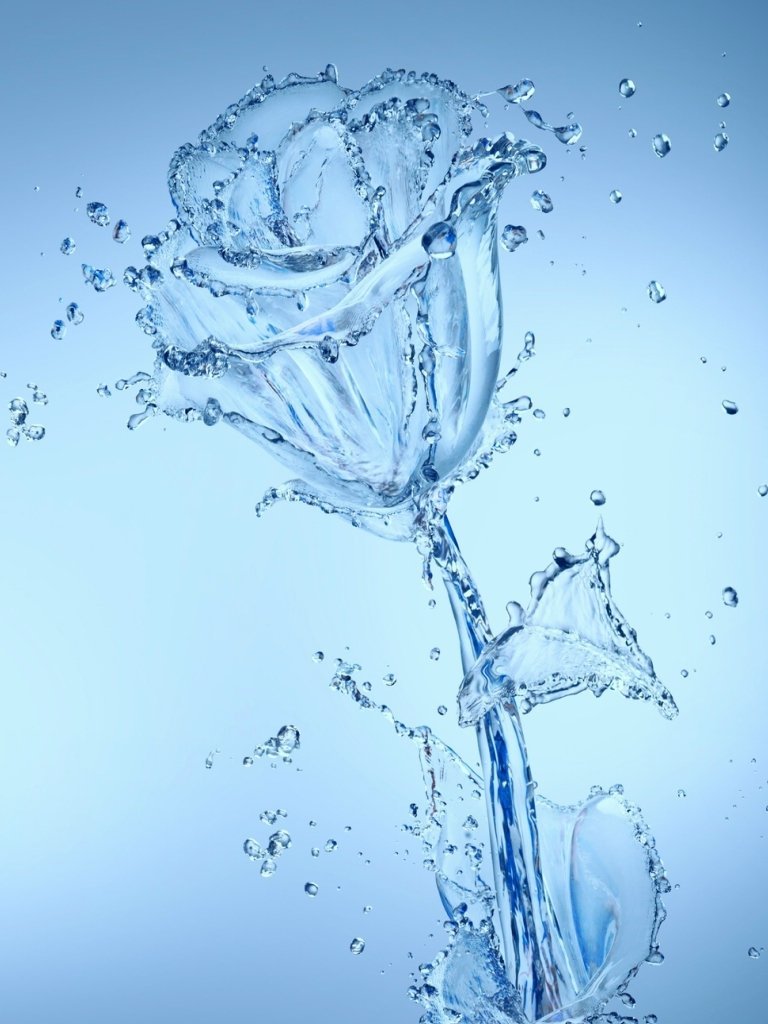 Transparent rose made of water with splashing droplets on blue background