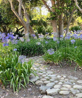 Stone garden path bordered by purple flowers and green foliage under dappled tree shade