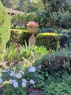 Formal garden with stone urn, sculpted hedges, hydrangeas, and flowering plants