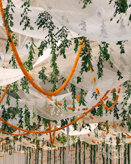 Indoor wedding ceiling with white drapes, green foliage, and orange garlands
