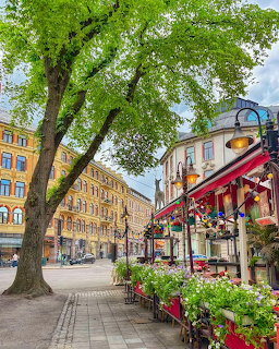 Oslo street with colorful buildings, outdoor café, flowers, and large tree on cobblestone sidewalk