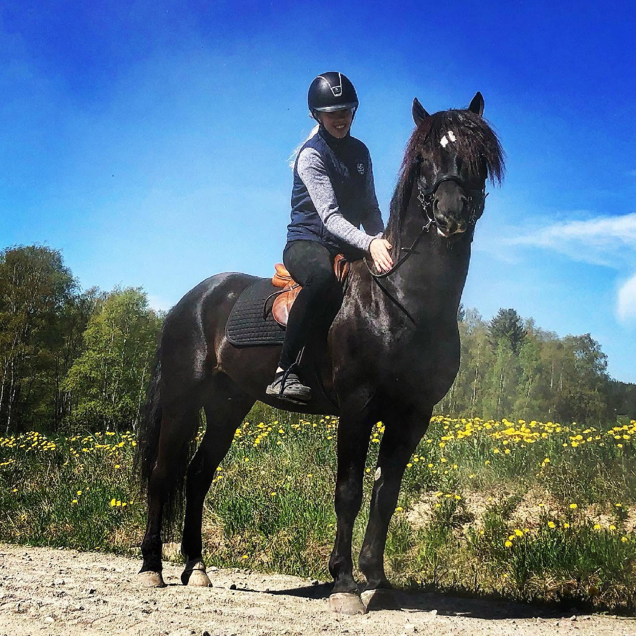 Rider sitting on a black horse outdoors on a sunny day