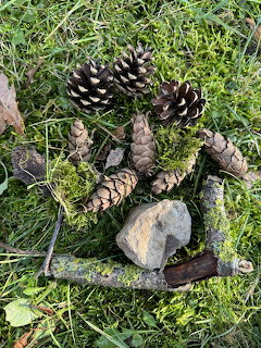 Pine cones, a rock, twigs, and moss arranged on green grass outdoors