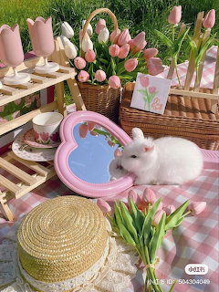White Bunny Picnic