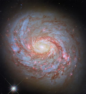 Spiral galaxy Messier 77 with bright center and sweeping arms containing stars and dust lanes