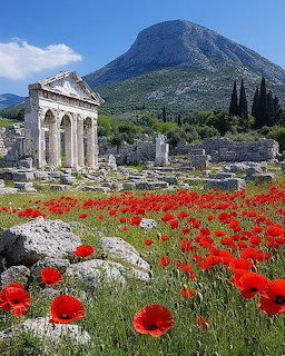 Ancient stone temple ruins at Hierapolis with red poppies and mountain in background