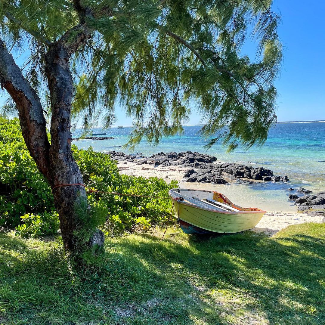 Small white boat under a tree beside a rocky tropical beach and blue ocean