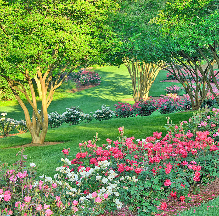 Landscaped garden with pink and white flowers, green grass, and leafy trees