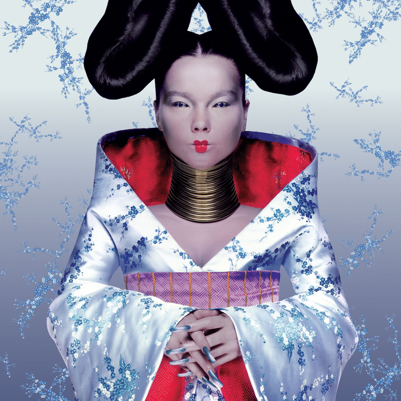 Björk Homogenic