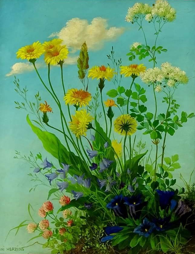 Botanical painting of wildflowers with yellow daisies, dandelions, blue violets, and clover against a sky background