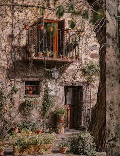 Rustic stone house facade with wooden balcony, green shutters, climbing vines, and weathered door