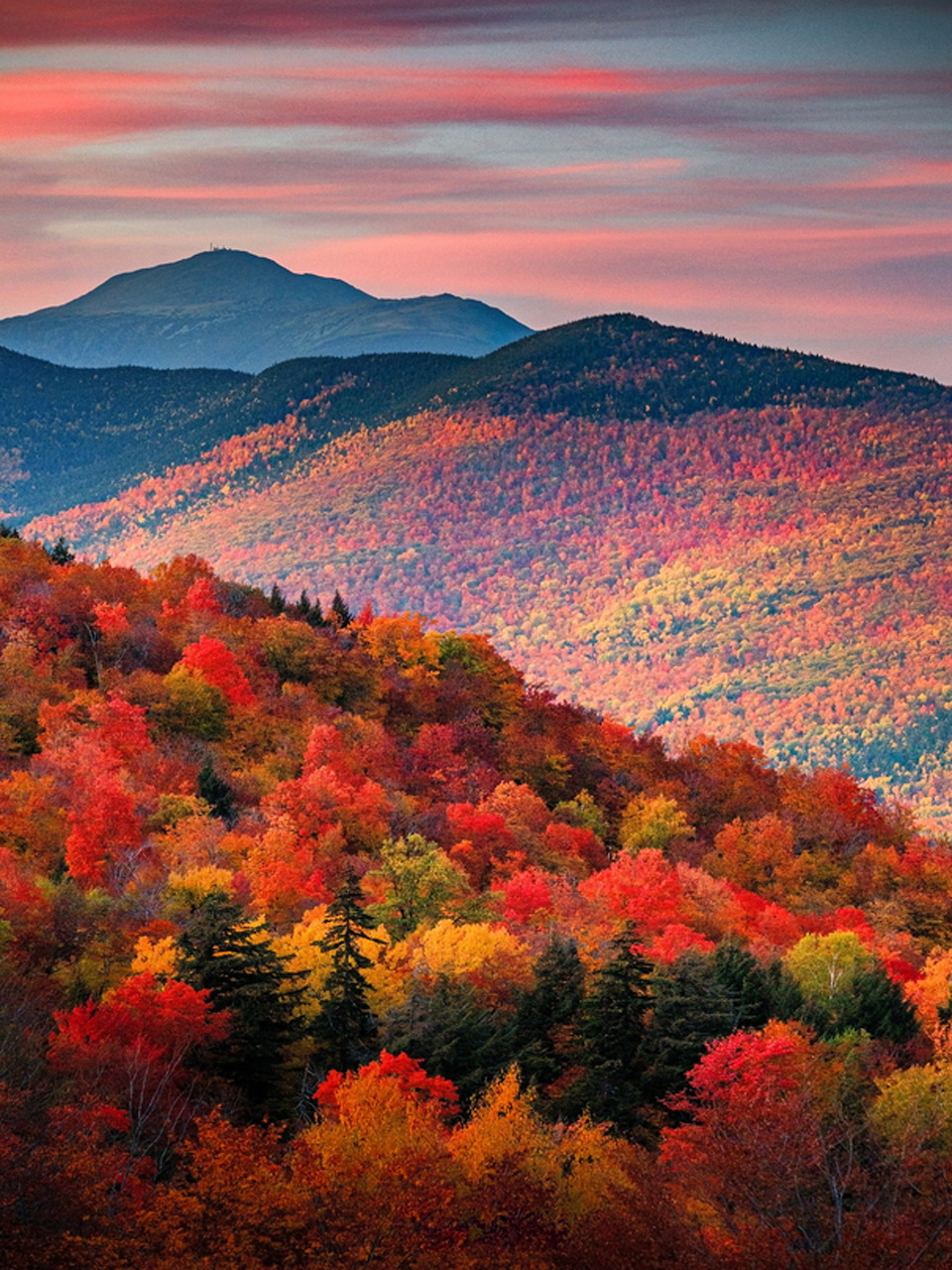 Colorful autumn forest covering mountain ridges beneath a pink and blue sky.