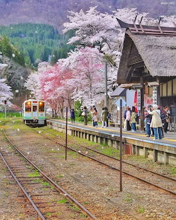 Japanese train station with yellow train, passengers on platform, and pink cherry blossom trees
