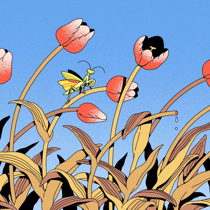Illustration of pink tulip-like flowers and leaves against a blue sky with a small insect