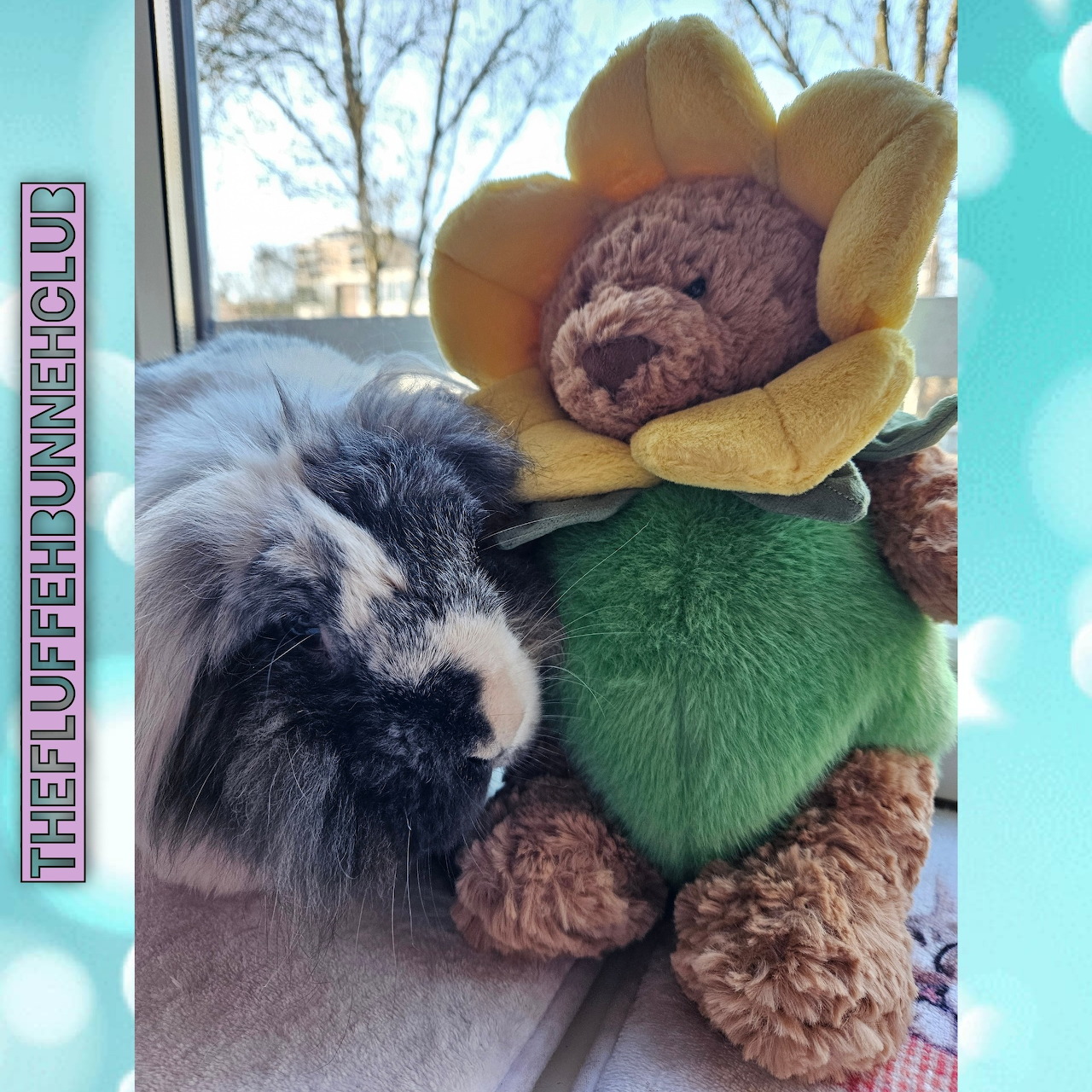 Black and white bunny cuddling a teddy bear in a sunflower outfit by a window