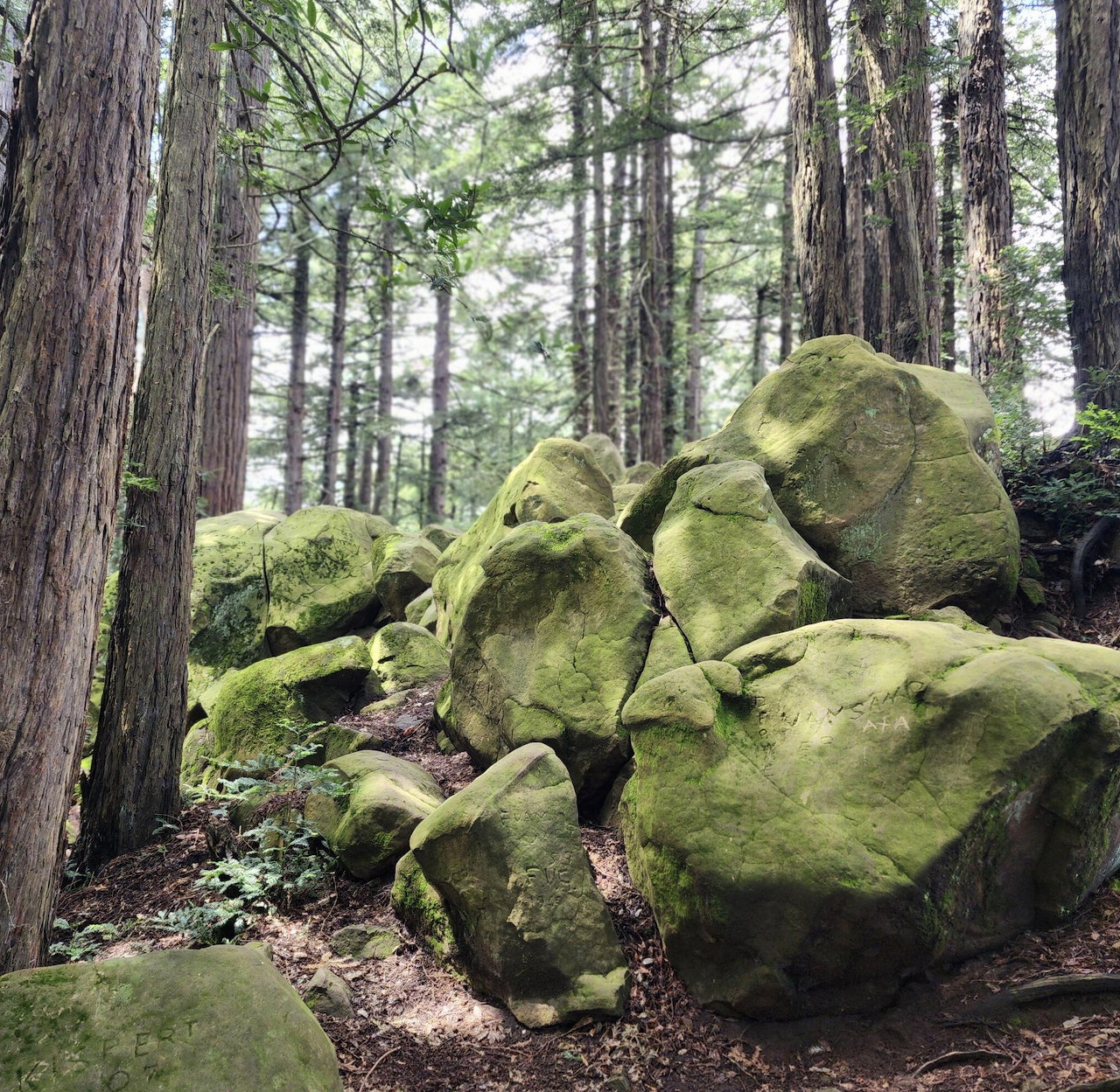 Mossy Rocks