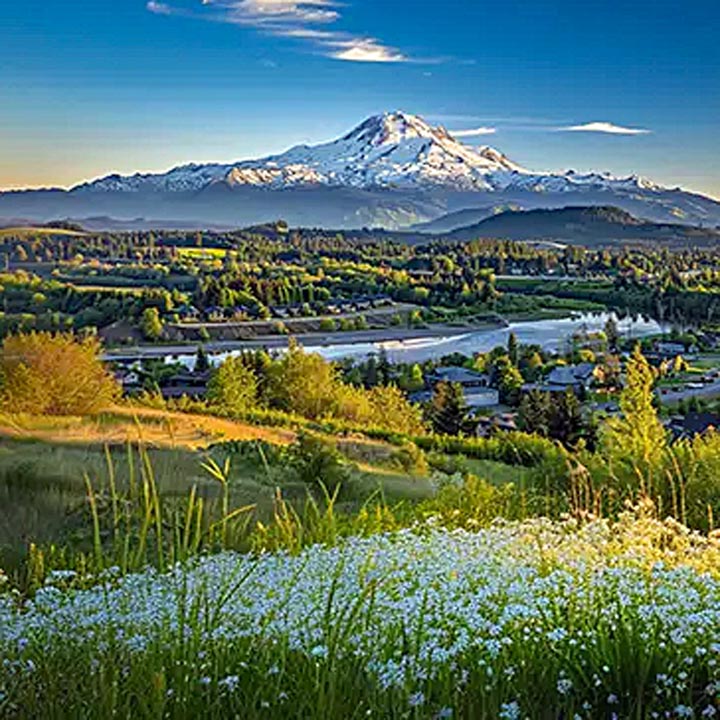 Snow-capped mountain peak above green valley with river and wildflower meadow in foreground