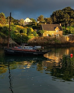 Sailboat on calm water near sunlit houses and trees along a shoreline