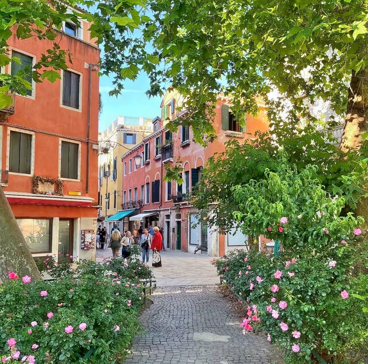 Leafy path with pink flowers beside colorful buildings in a sunny Venetian square
