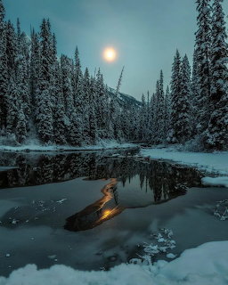 Snowy forest landscape with frozen lake reflecting twilight sky and dim sun through evergreen trees