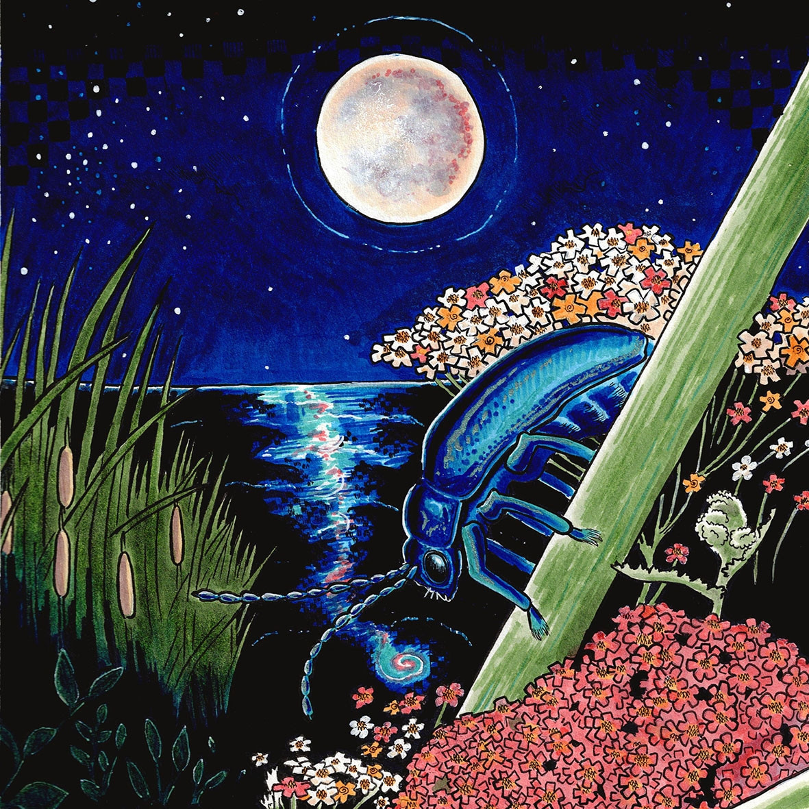 Blue beetle among flowers and reeds beside moonlit water under a starry night sky