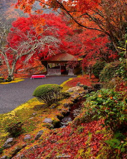 Japanese garden with red autumn maples, a traditional pavilion, moss-covered ground, and a small stream
