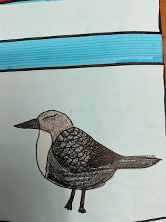 Hand-drawn bird standing on a white background with a blue stripe at the top.
