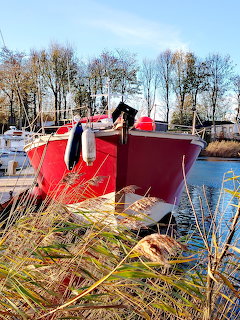 Red boat docked at a harbor with dry reeds in foreground and bare autumn trees in background