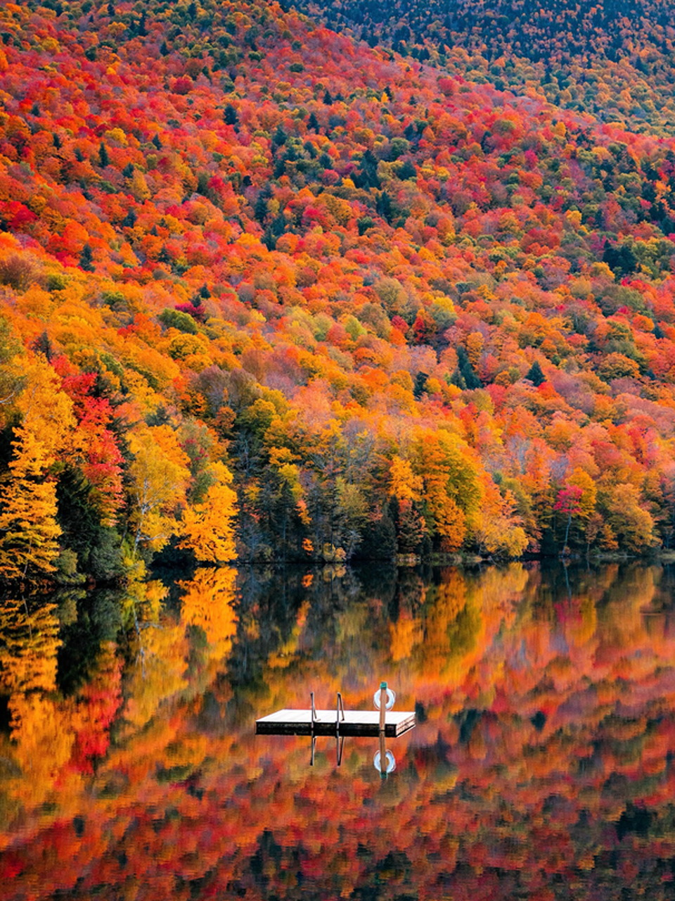 Small canoe on a calm lake reflecting a dense forest of red, orange, and yellow autumn foliage.