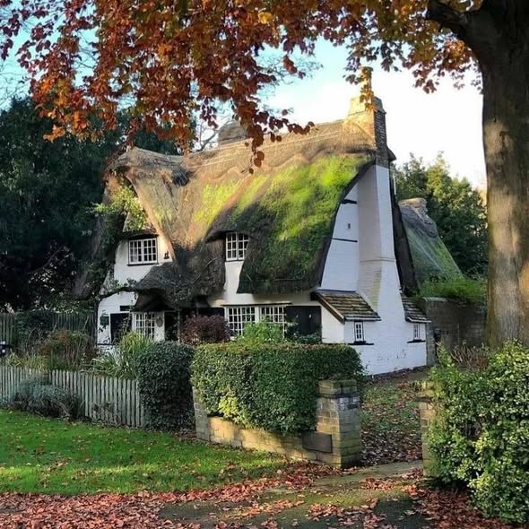 White cottage with thick thatched roof surrounded by autumn foliage and wooden fence