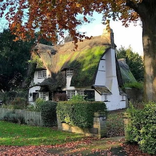 White Thatched Cottage