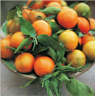 Bowl of fresh oranges and citrus fruits with green leaves